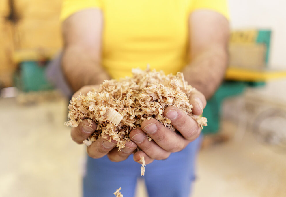 isolation fibre de bois